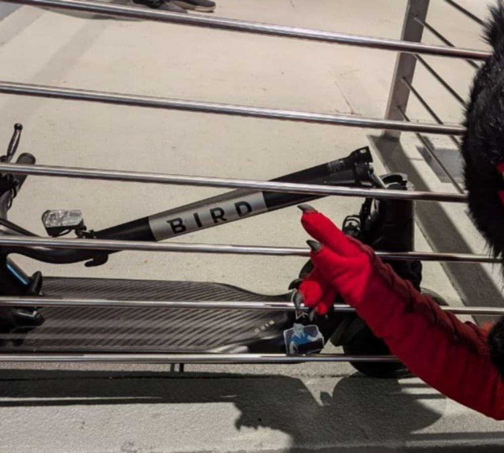 Closeup of the bird label 