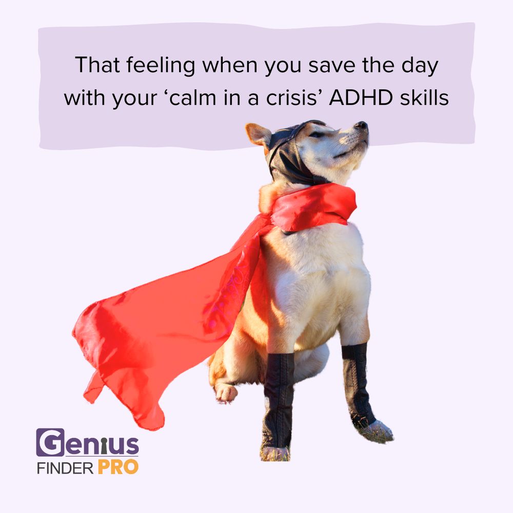 That feeling when you save the day with your 'calm in a crisis' ADHD skills. Photo of a dog wearing a heroes cape and mask. Logo for the genius finder pro.