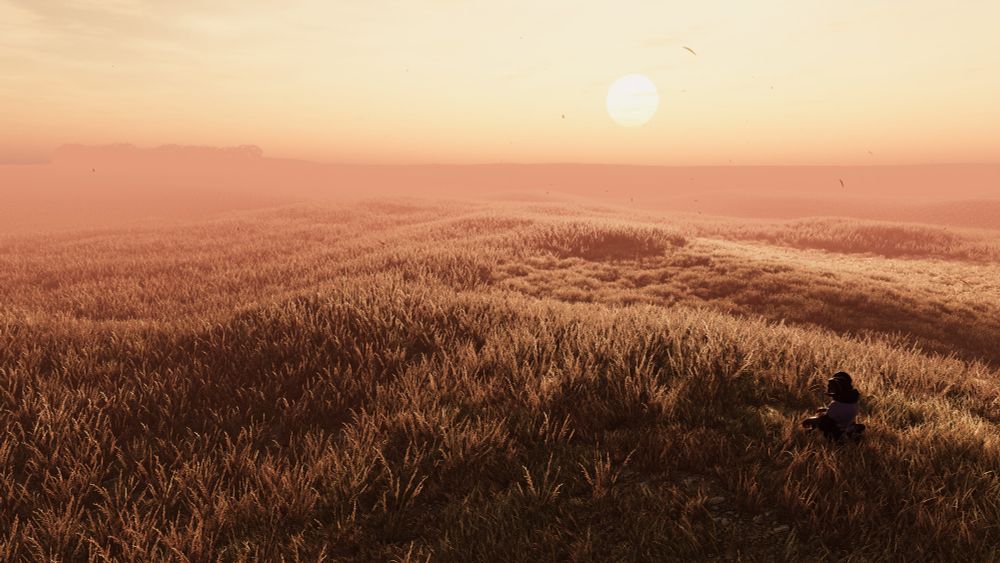 a screenshot from VR Chat of a vast wheat field with setting sun