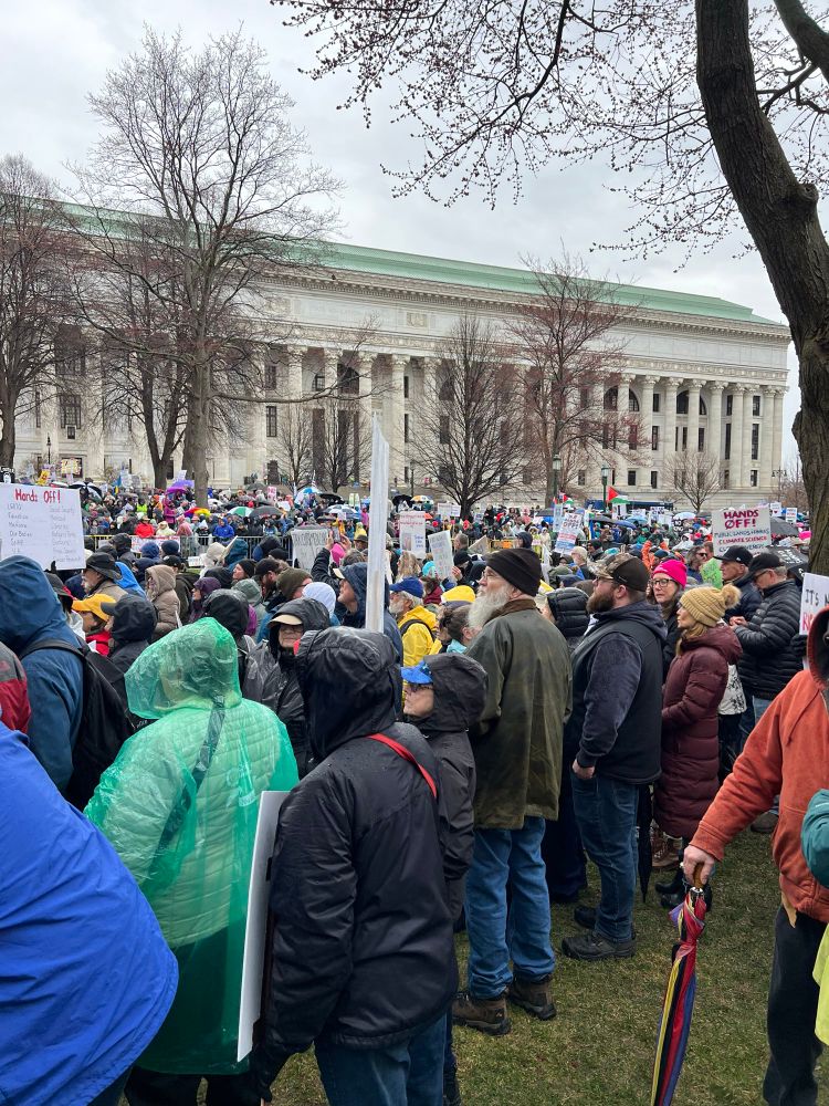 Crowd of people outside the NYS Capitol for Hands Off rally