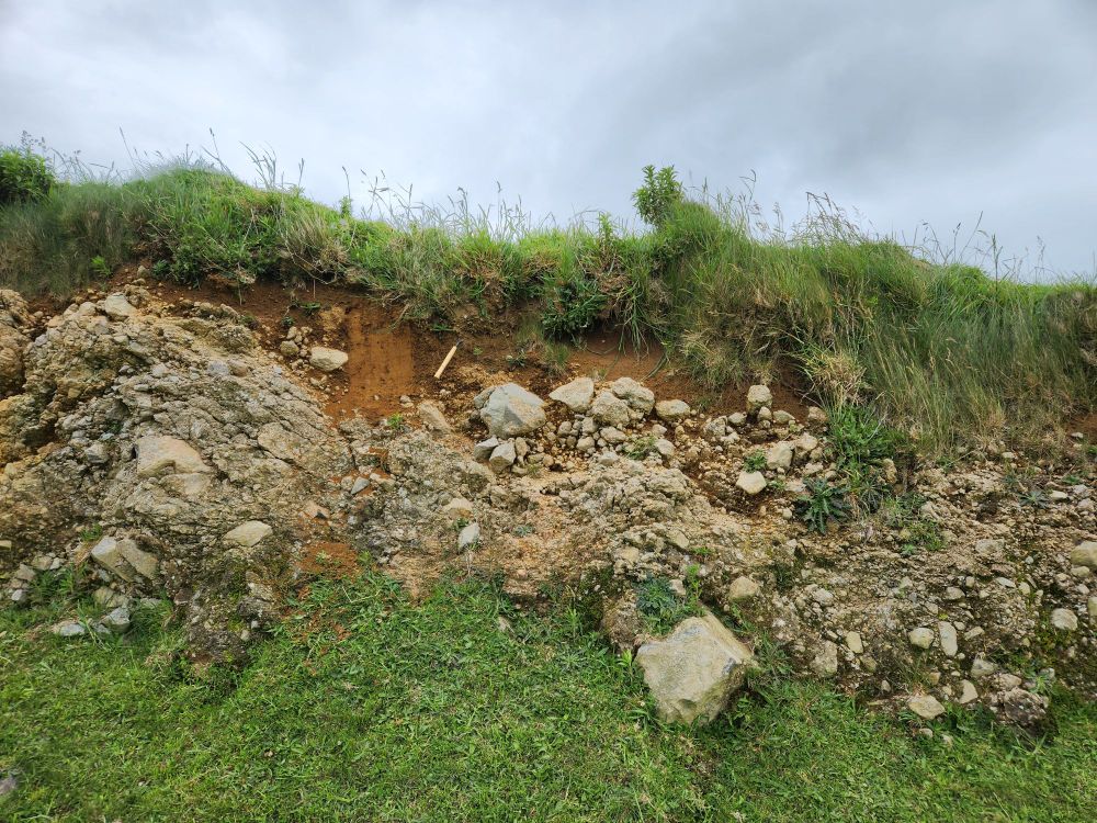 Soil exposure on a debris avalanche mound near Rahotu, southwest Taranaki. The wind is 🥶