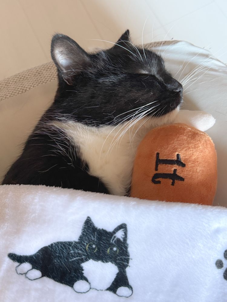 A black and white cat is sleeping peacefully while hugging a plush drumstick labeled “1t.” He is tucked in with a blanket that has his own face printed on it.