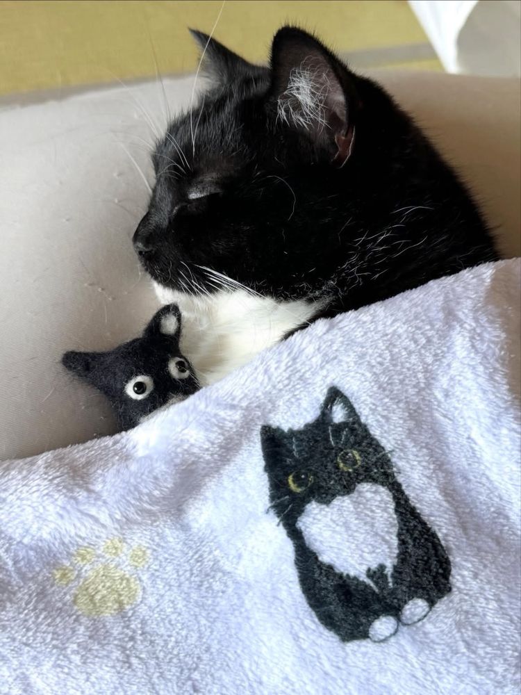 A black and white cat is sleeping peacefully under a white blanket, cuddling a small black and white cat plushie. The blanket has a illustration of the cat.