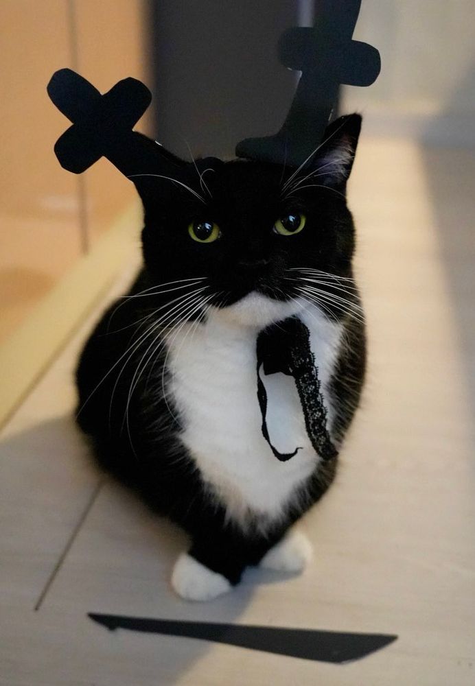 Uni dressed as the Knight from Deltarune, standing proudly.