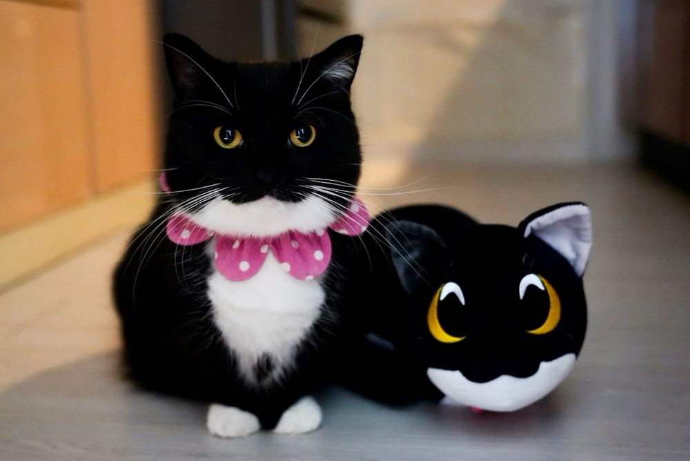 Uni and Uni plush