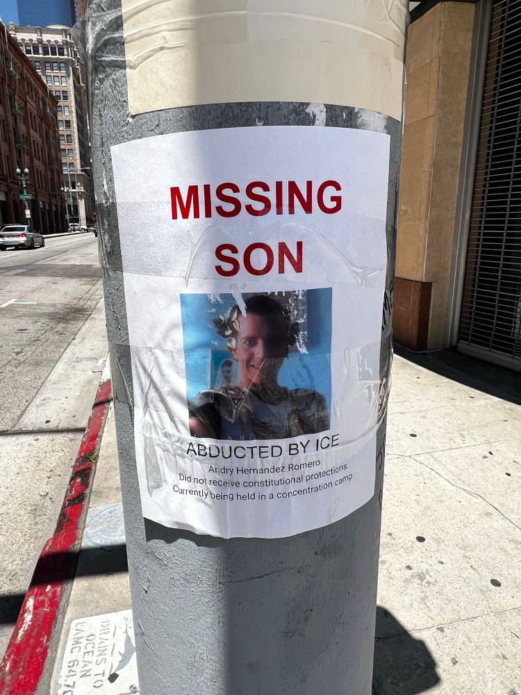 Poster reading - MISSING SON - ABDUCTED BY ICE.