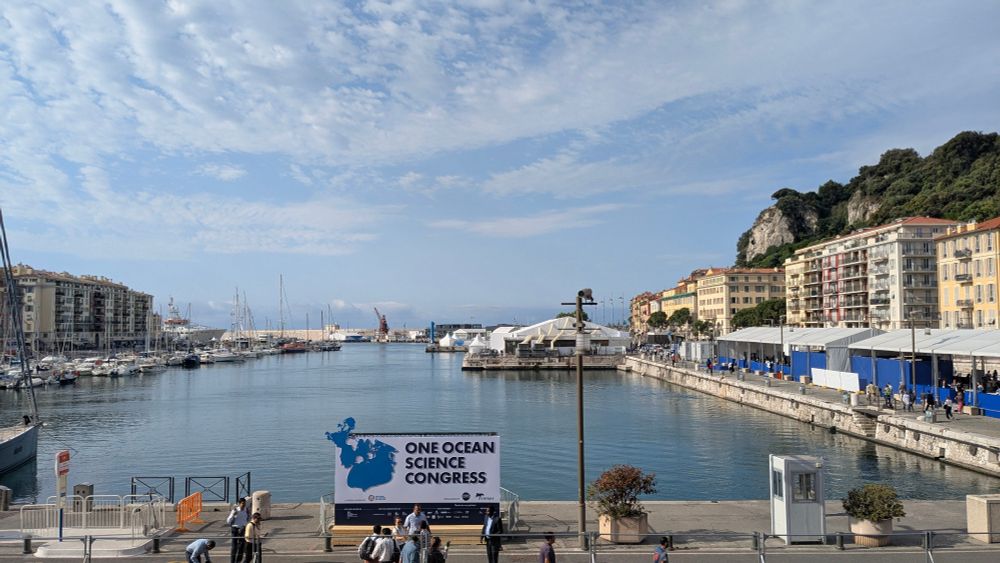 View of a harbour with "One Ocean Science Congress" sign overlooking the sea
