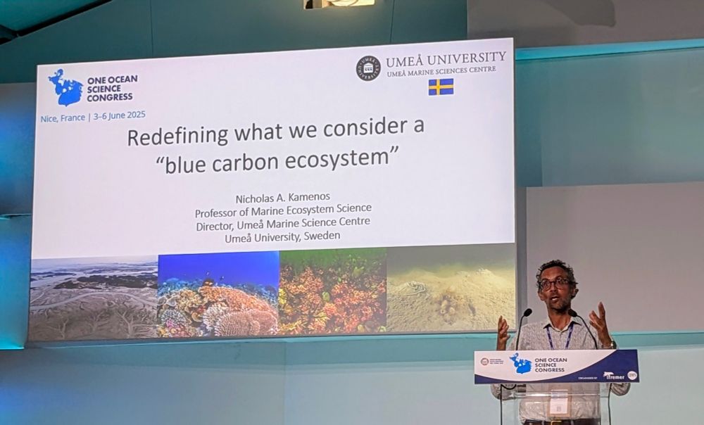 Man in front of a presentation slide with the title re-defining what we consider a blue carbon ecosystem 