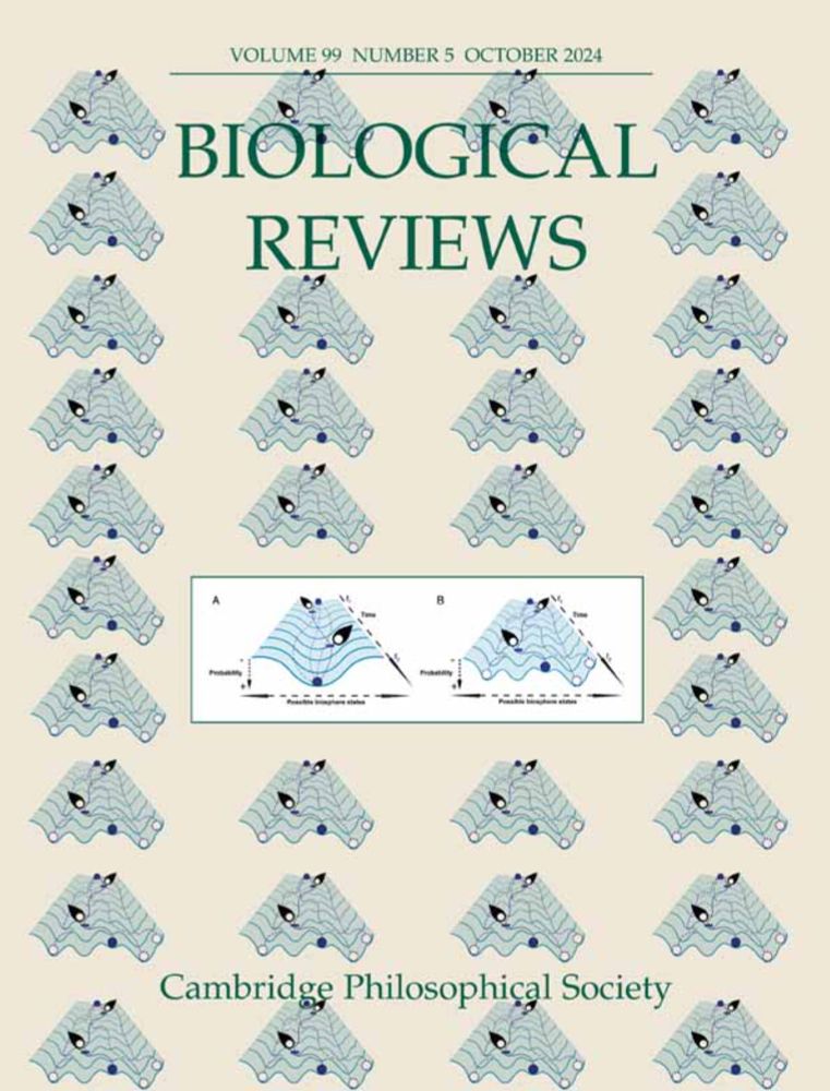 Positive species interactions structure rhodolith bed communities at a global scale