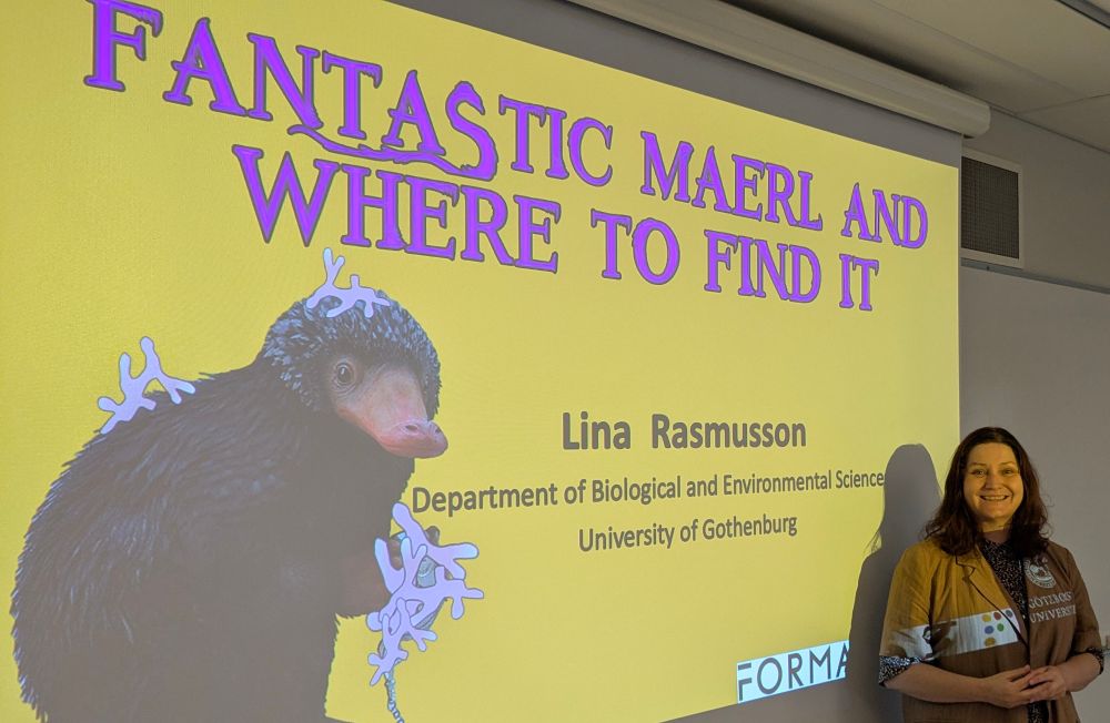 Woman smiling in front of a presentation slide with the title 'fantastic maerl and where to find it'