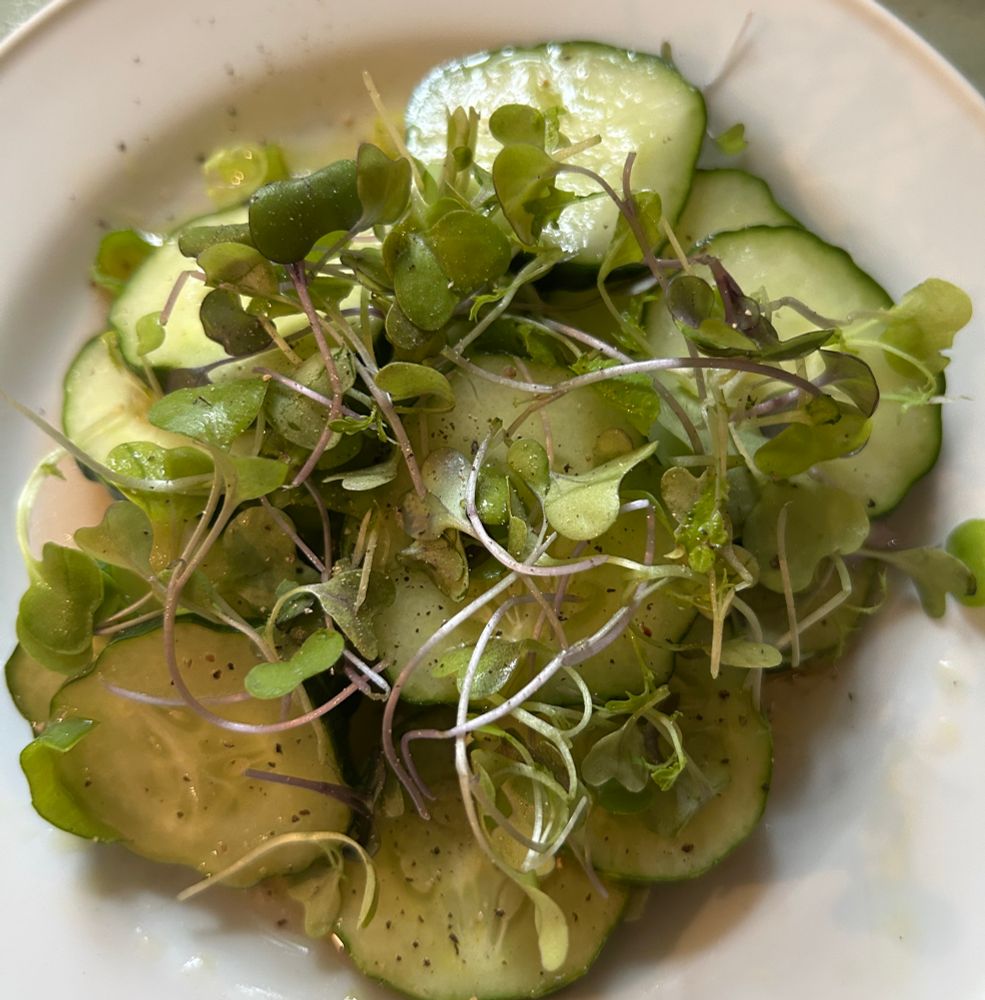 cucumber salad w/olive oil, scallions, red wine vinegar, s&p, and microgreeens