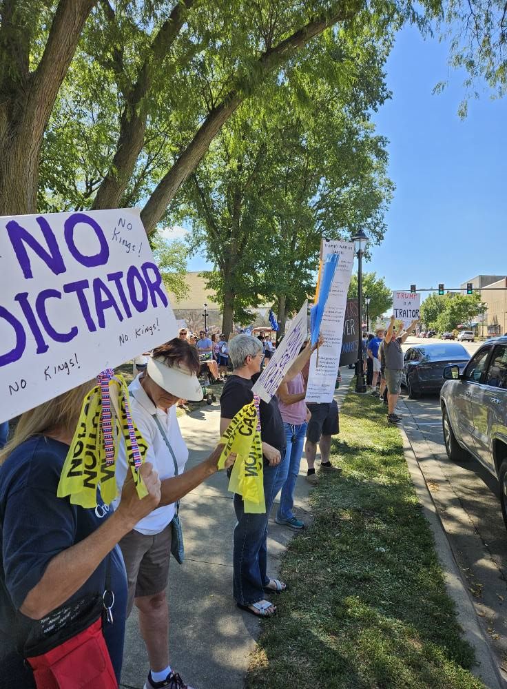 Resisters in the park in Ottawa Canada
NO DICTATORS
-holding small yellow flags