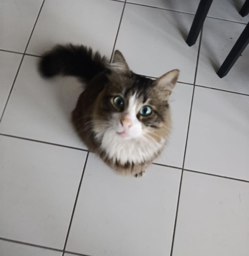 Le même, toujours très très beau