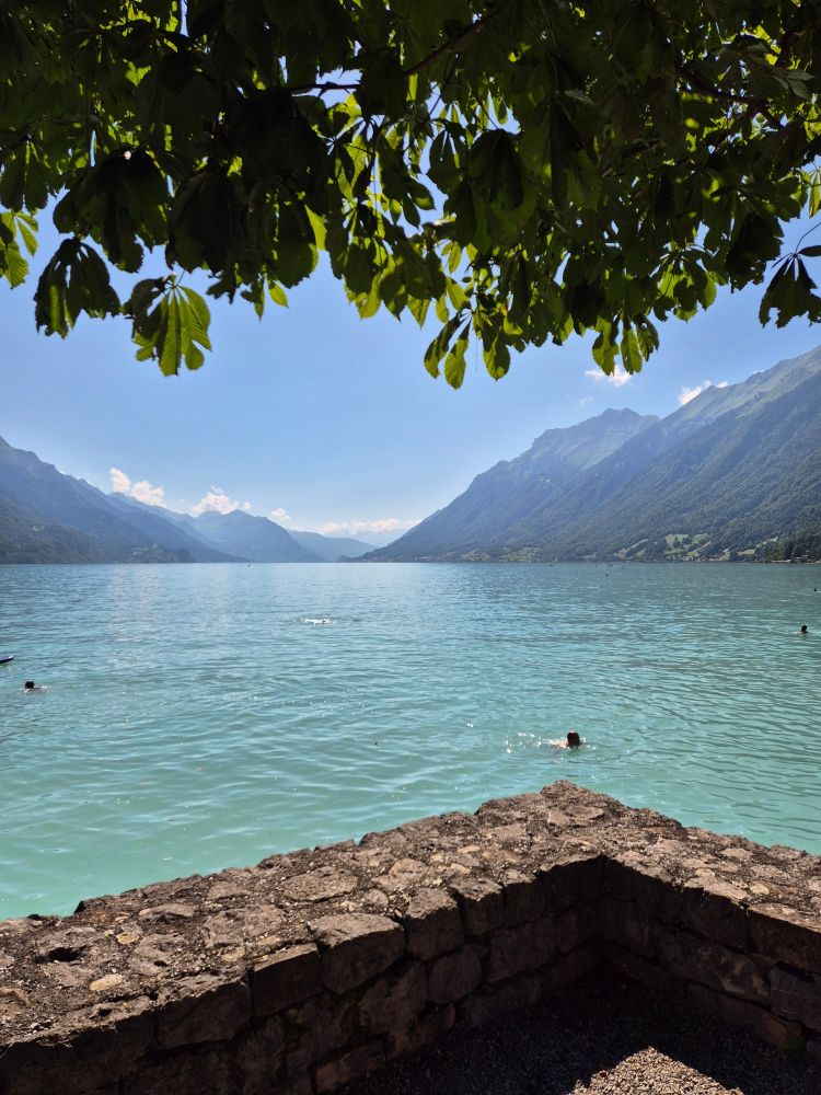 Brienzersee von Brienz Richtung Interlaken