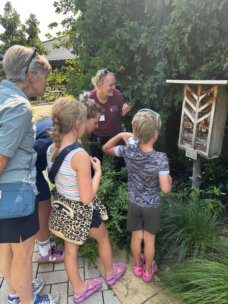 A guided walking tour to visit bee houses at Olbrich Botanical Gardens