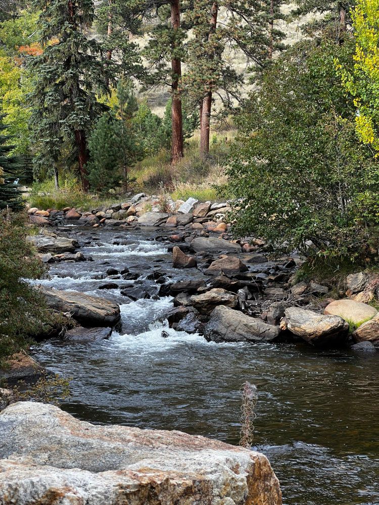 Bolder Creek runs right through the back yard of our condo at Estes Park, Colorado. 