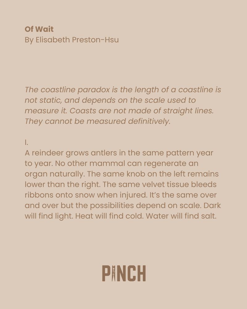 Of Wait
By Elisabeth Preston-Hsu

The coastline paradox is the length of a coastline is not static, and depends on the scale used to measure it. Coasts are not made of straight lines. They cannot be measured definitively. 

I.
A reindeer grows antlers in the same pattern year to year. No other mammal can regenerate an organ naturally. The same knob on the left remains lower than the right. The same velvet tissue bleeds ribbons onto snow when injured. It’s the same over and over but the possibilities depend on scale. Dark will find light. Heat will find cold. Water will find salt.