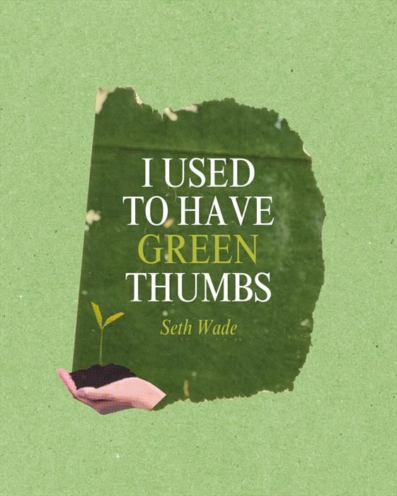 I USED TO HAVE GREEN THUMBS
Seth Wade