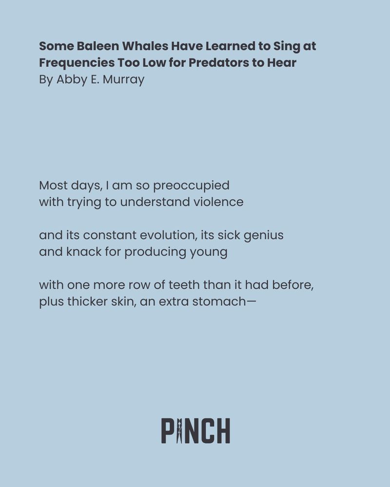 Some Baleen Whales Have Learned to Sing at Frequencies Too Low for Predators to Hear
By Abby E. Murray

Most days, I am so preoccupied
with trying to understand violence

and its constant evolution, its sick genius
and knack for producing young

with one more row of teeth than it had before,
plus thicker skin, an extra stomach—