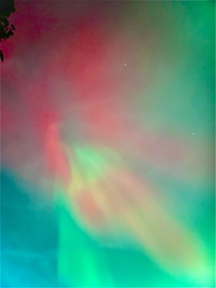 Comment image