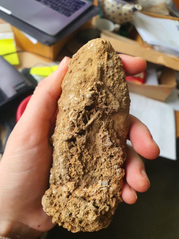 A stalactite with small bones embedded in its side