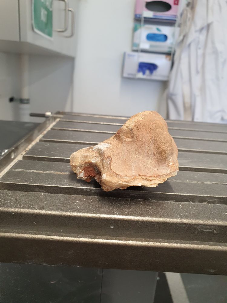 A small stalagmite on a wiresaw in a laboratory.