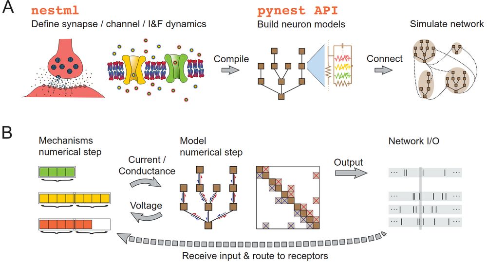 Overview of the compartmental simulation toolchai