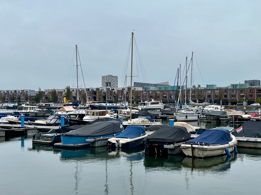 Entrepothaven