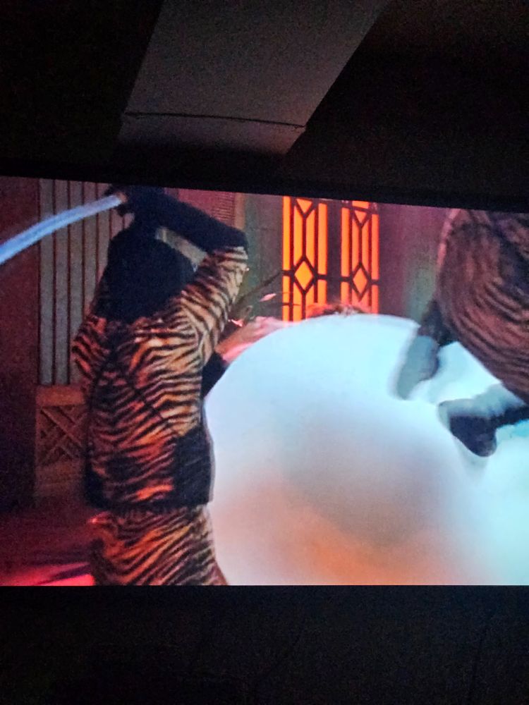 Tiger print ninja costumes 