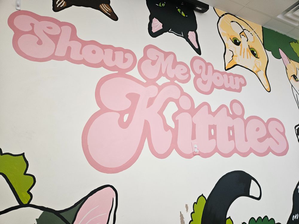 Show me your kitties mural