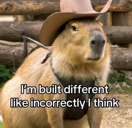Capybara in a cowboy hat with text: I'm built different, like incorrectly i think.