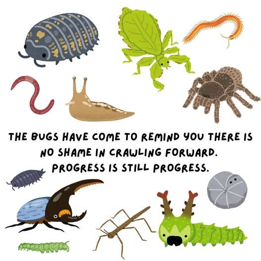 The bugs have come to remind you there is no shame in crawlng forward, progress is still progress.

Then a bunch of cool bugs!