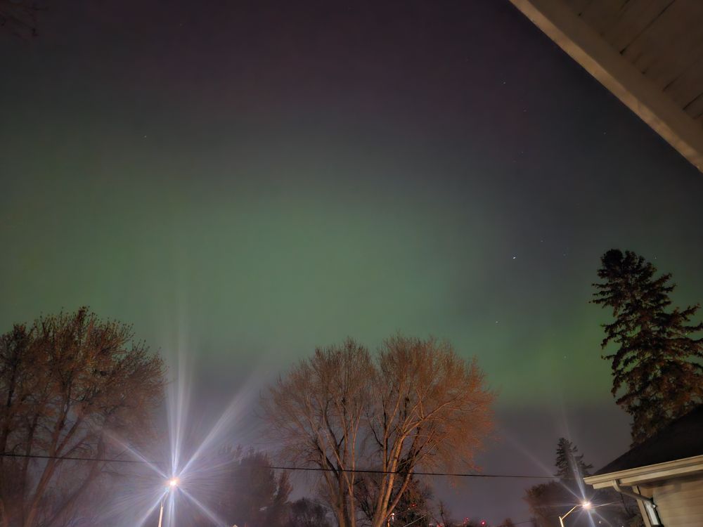 Front yard aurora 