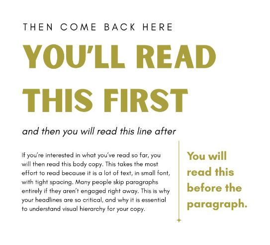 A diagram that shows how bold text, color and size assist users with visually organizing information on a page.