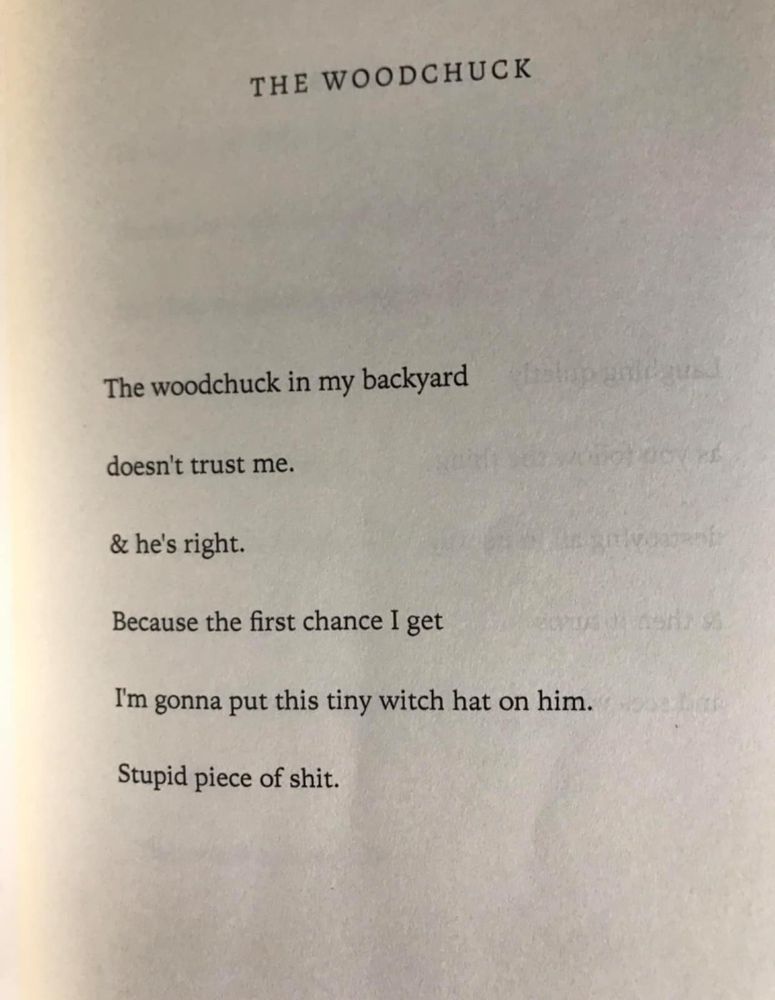 THE WOODCHUCK (a poem I found online and totally didn't write) The woodchuck in my backyard doesn't trust me. & he's right. Because first chance I get I'm gonna put ths tiny witch hat on him. Stupid piece of shit.