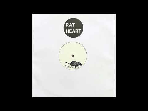 Rat Heart (MCR)   2 Rat Heart