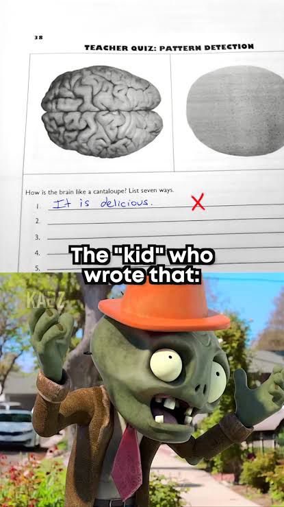 A meme displaying in the top half of the screen what appears to be an elementary school test with a black and white photo of a brain and the prompt “How is the brain like a cantaloupe?” The student then proceeded to respond “It is delicious.”. The meme then reads with text ‘The “kid” who wrote that:’ before proceeding to the bottom half of the screen displaying a conehead zombie from Plants vs Zombies shrugging.