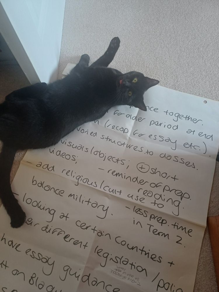 Photo of a black cat laid on the floor on top of a large sheet of paper, which contains writing in black marker pen. The writing is bullet pointed suggestions and comments such as "less prep time in Term 2".