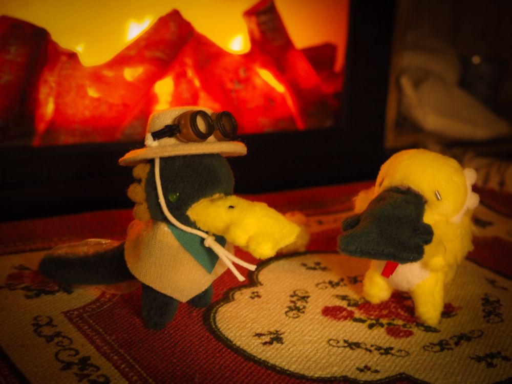 1枚目の写真から、ウーパールーパーの部分にカメラをさらに寄せた写真です。