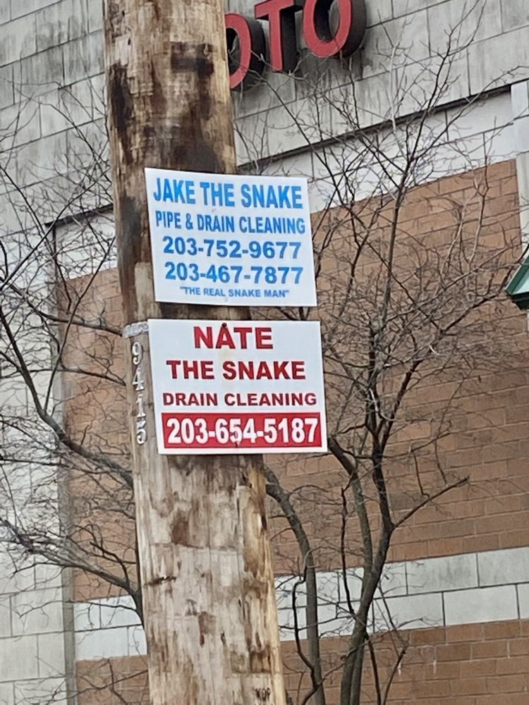 Two signs on a telephone pole.

JAKE THE SNAKE
PIPE & DRAIN CLEANING
[phone numbers]
"THE REAL SNAKE MAN"

NATE
THE SNAKE
DRAIN CLEANING
[phone number]