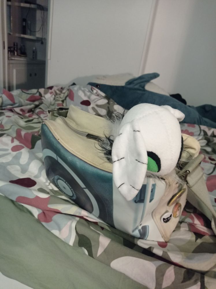 Picture of my Emmalynn plushie by @vivithemoth.bsky.social in my mailman bag 