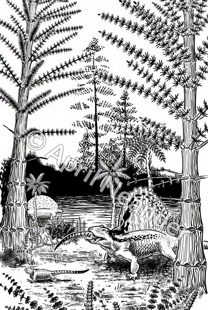 Black and white illustration depicting a scene from the Early Permian near the edge of a small lake. In the foreground is Dimetrodon eating a small Casea, while a second Casea scurries off. In the background is Edaphosaurus at the water’s edge. The flora includes calamites, pteridosperms, and sphenophyllum. 