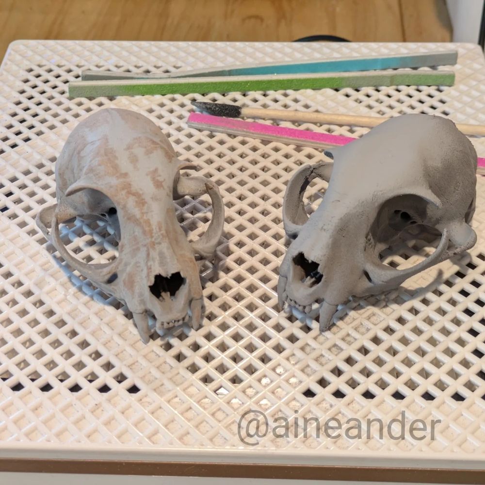 Two 3D cat skulls covered in gray filler primer with some sanding tools
