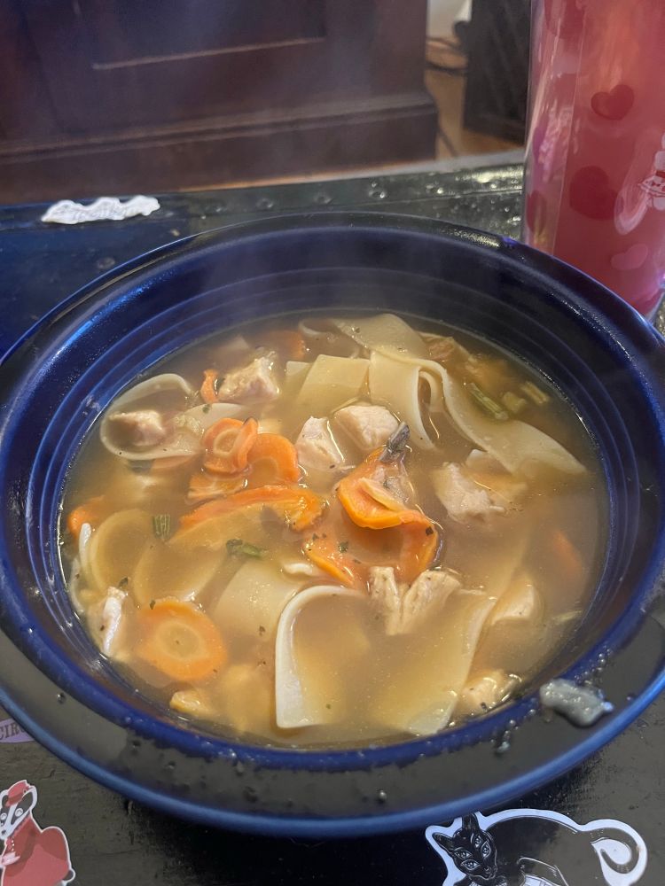 a photo of a blue bowl full of soup containing noodles, carrots, and chicken. 