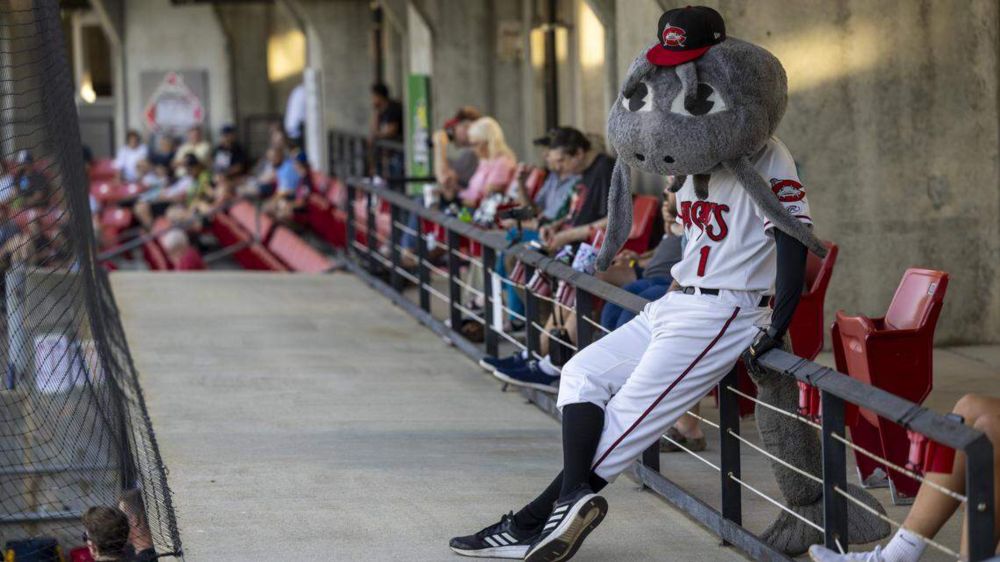 The Carolina Mudcats are moving to Wilson, but they were once bigger than the Durham Bulls, and they changed sports marketing forever.