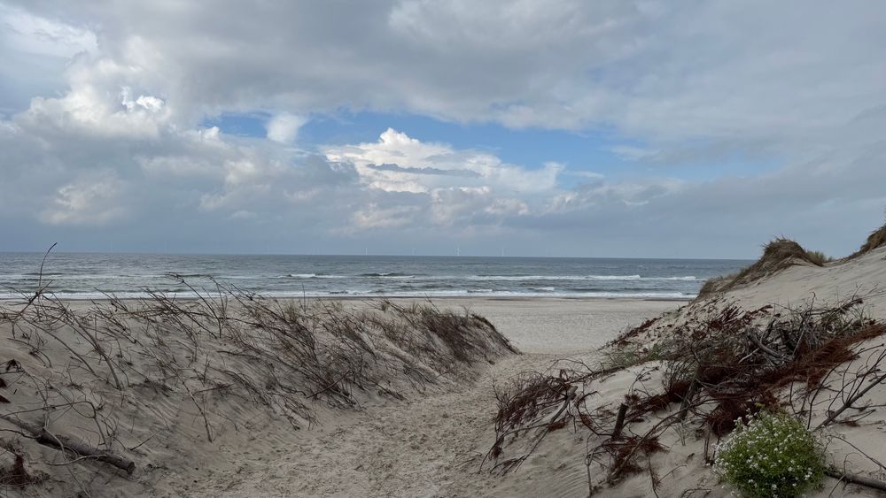 Blick durch die Dünen zum Strand mit Meer und tollem Himmel.