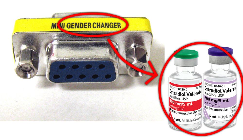 A serial coupler labeled "MINI GENDER CHANGER." The text "GENDER CHANGER" is enclosed by a red circle, with an arrow pointing to two vials of estradiol valerate, also circled in red.