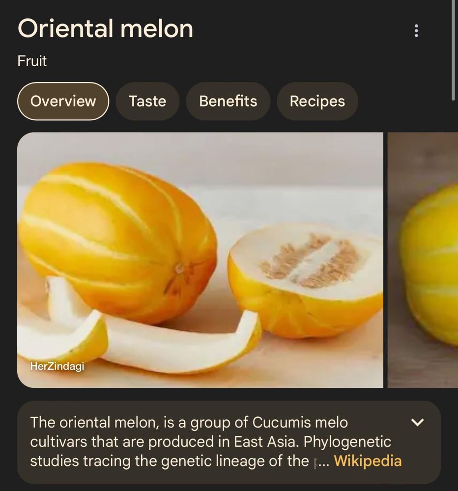 Where to buy Korean / oriental melon?