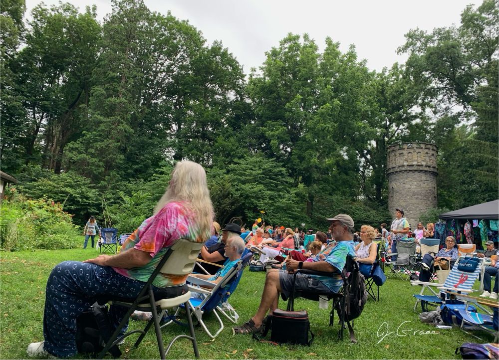 A photo of the audience at an outdoor music festival. 