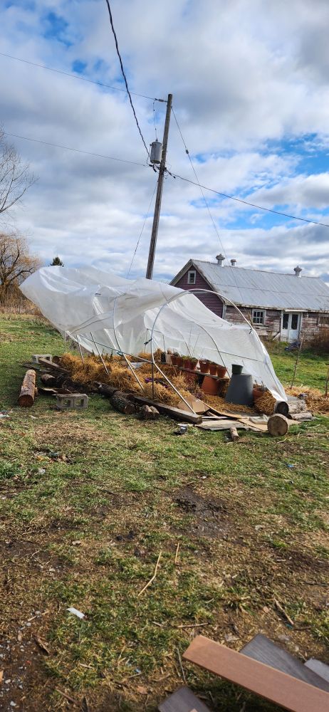 My damaged greenhouse from the wind ripping the cover 